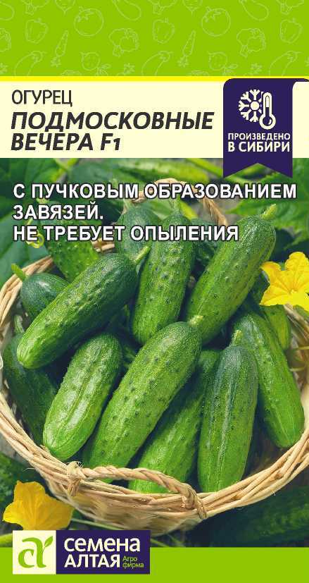 Подмосковные вечера