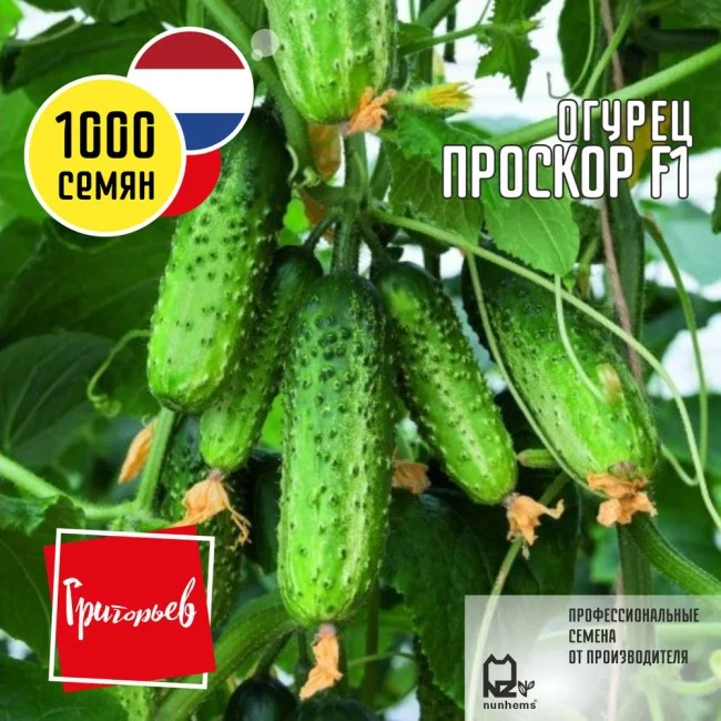 Миниатюра изображения сорта Проскор