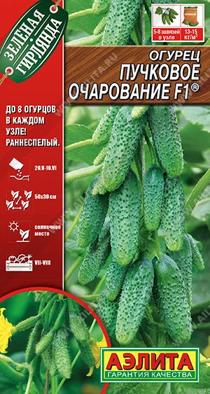 Пучковое очарование