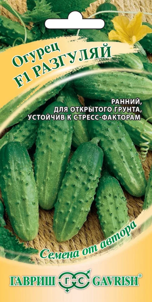 Разгуляй