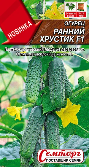 Ранний хрустик