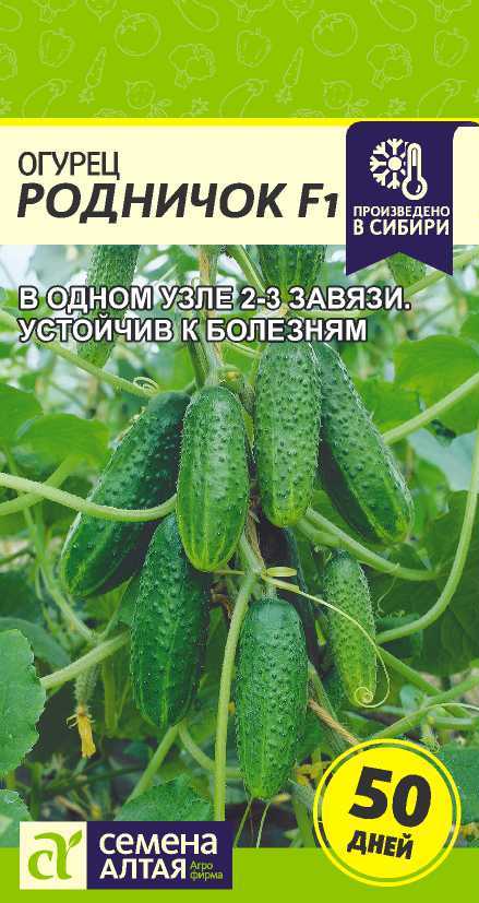 Миниатюра изображения сорта Родничок