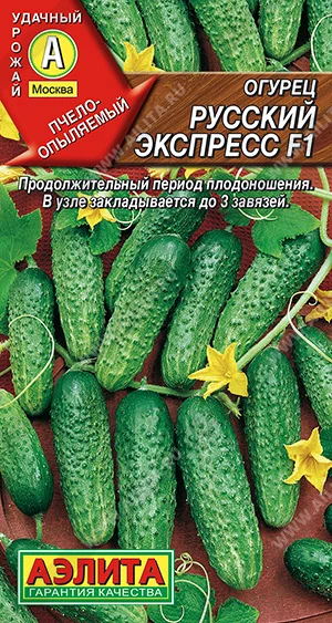 Русский экспресс