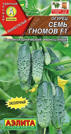 Семь гномов