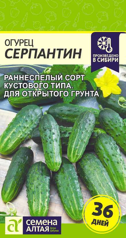 Миниатюра изображения сорта Серпантин