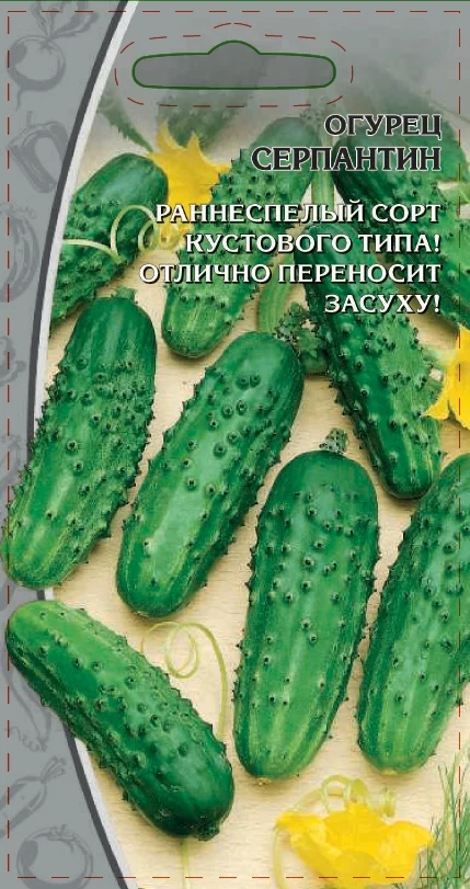 Миниатюра изображения сорта Серпантин