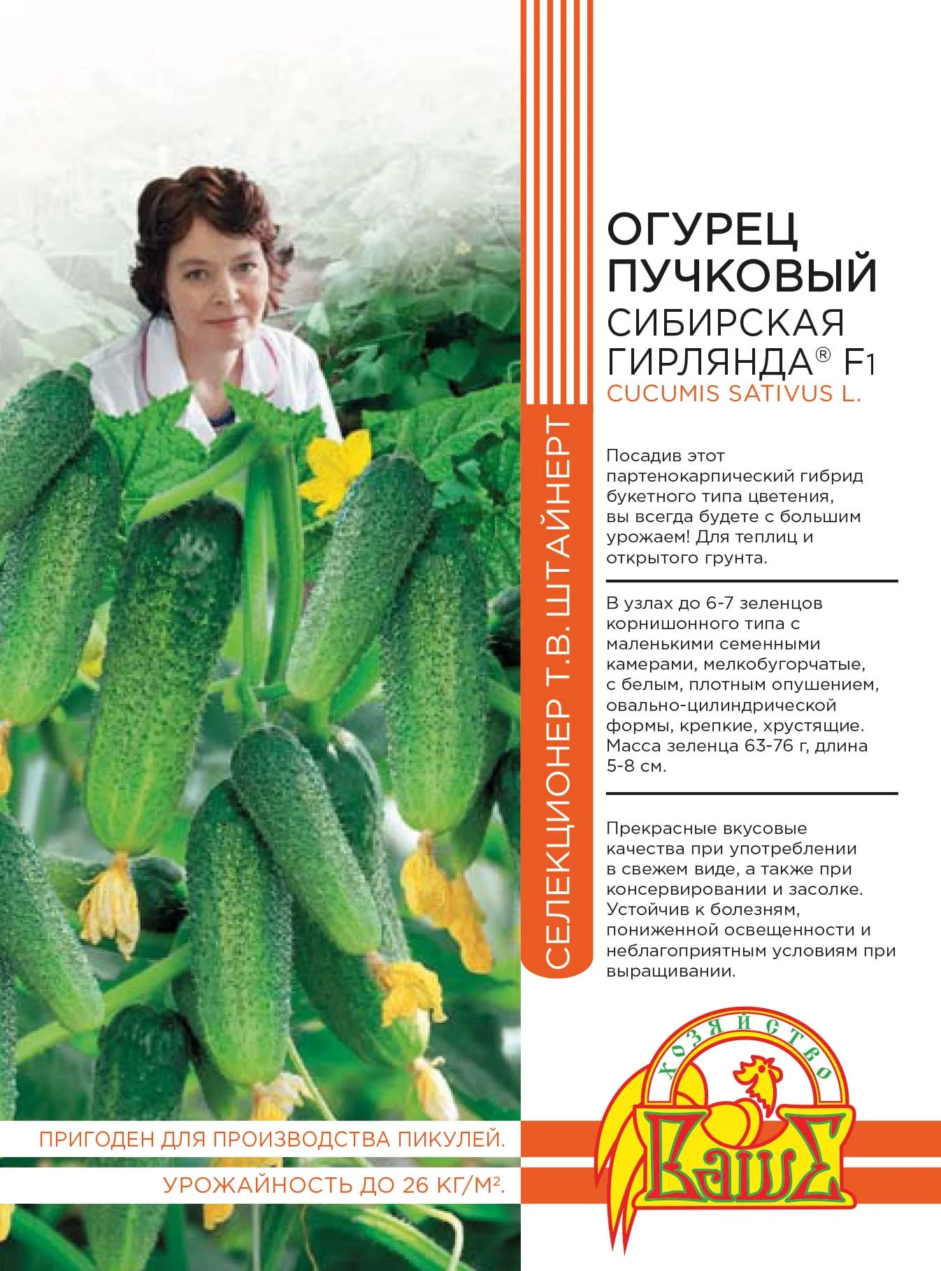 Миниатюра изображения сорта Сибирская Гирлянда