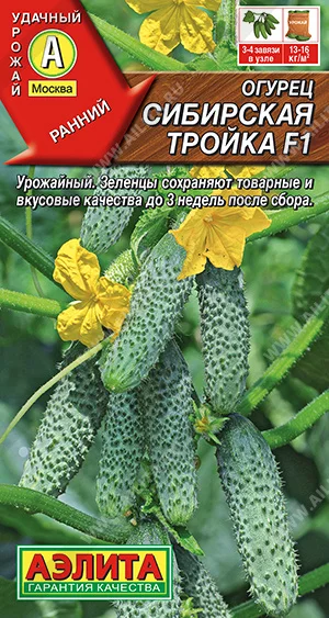 Сибирская тройка