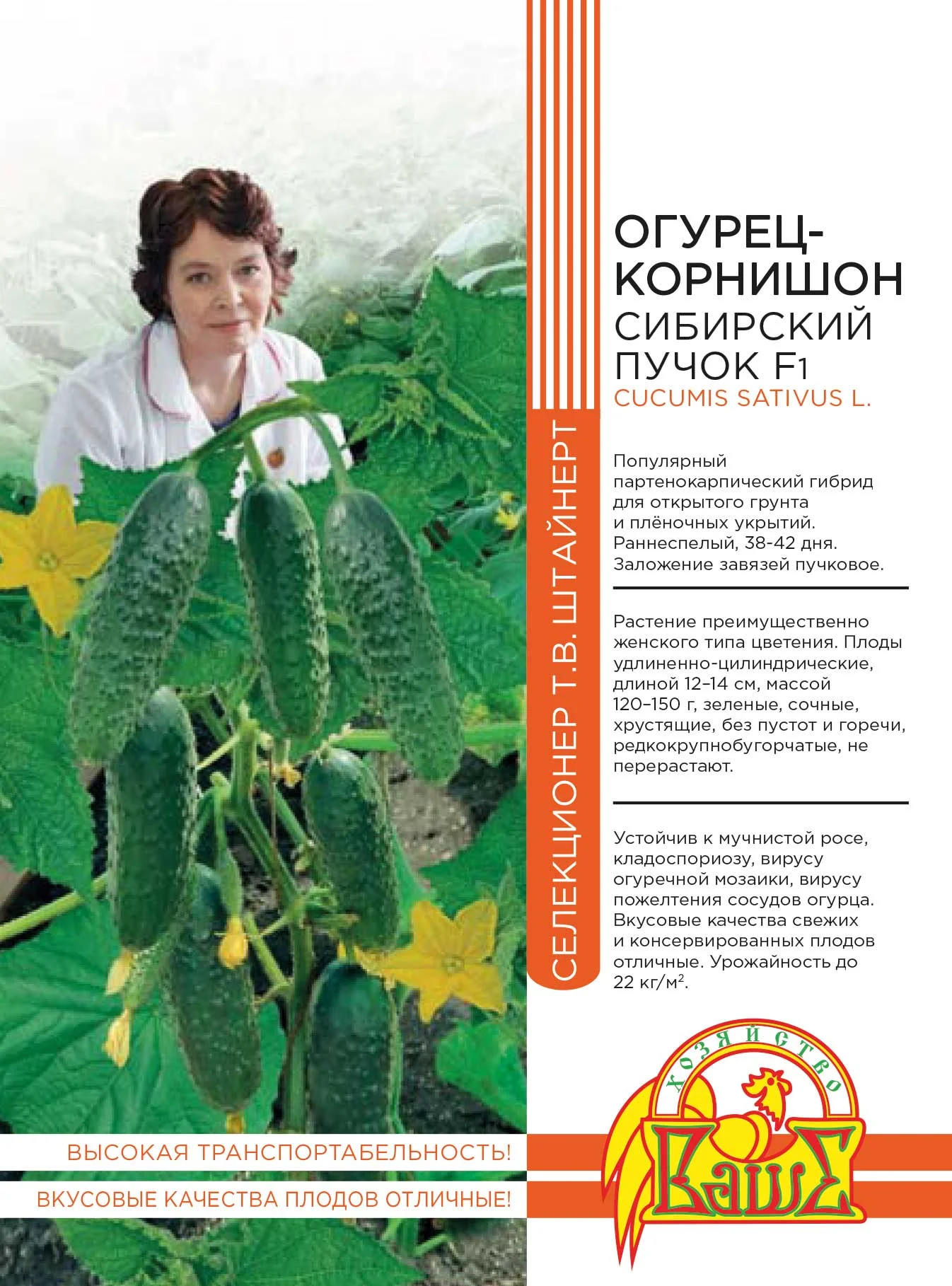 Сибирский Пучок