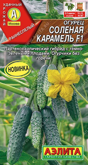 Соленая карамель