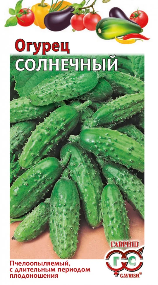 Солнечный