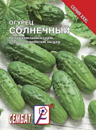 Миниатюра изображения сорта Солнечный