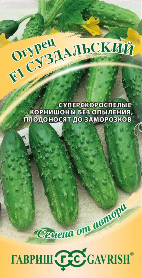 Суздальский