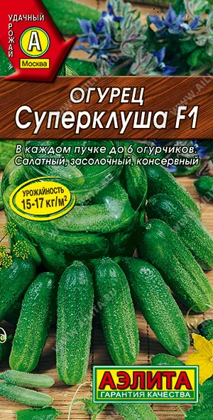 Суперклуша