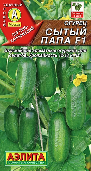 Сытый папа