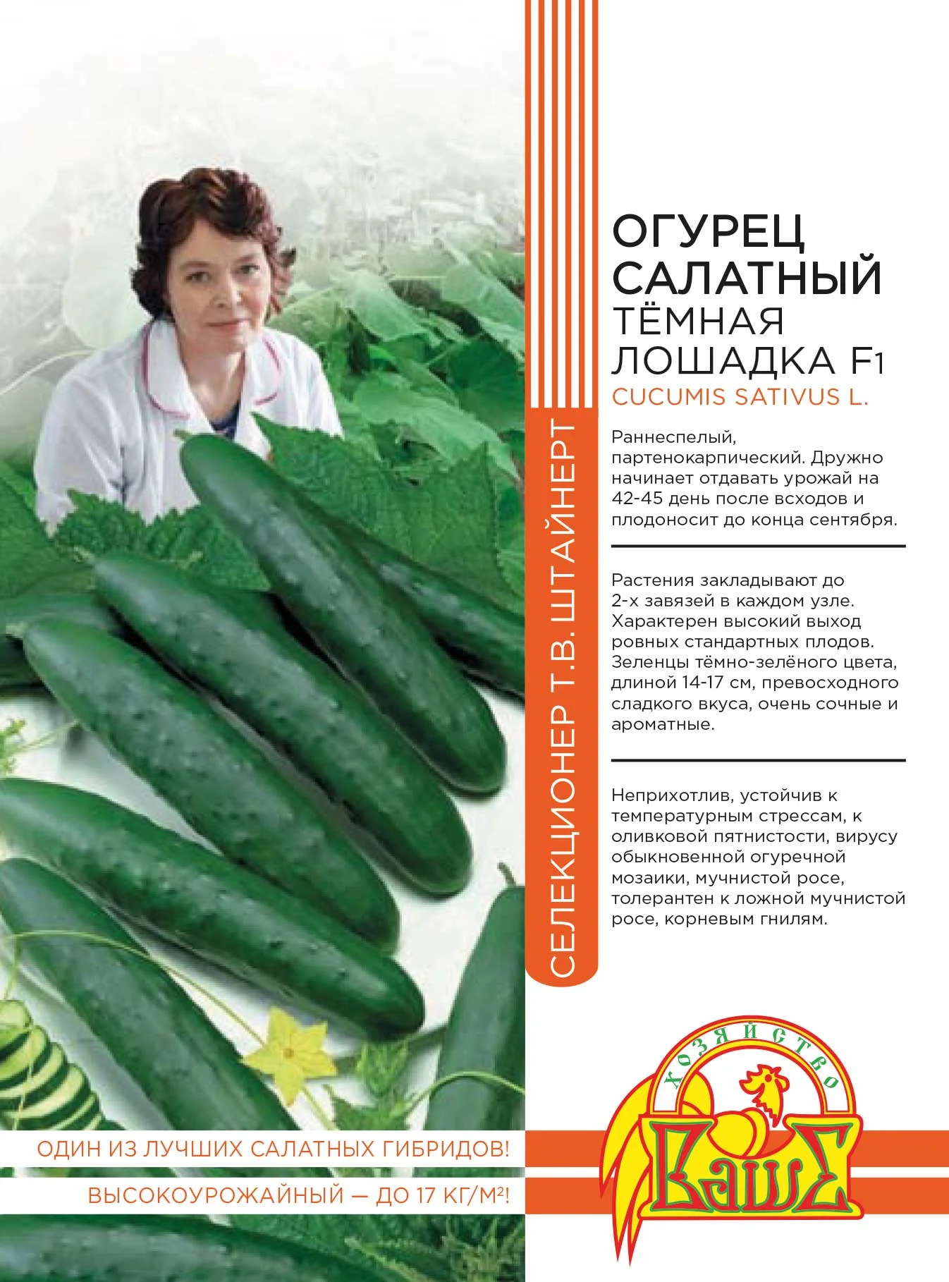 Темная Лошадка