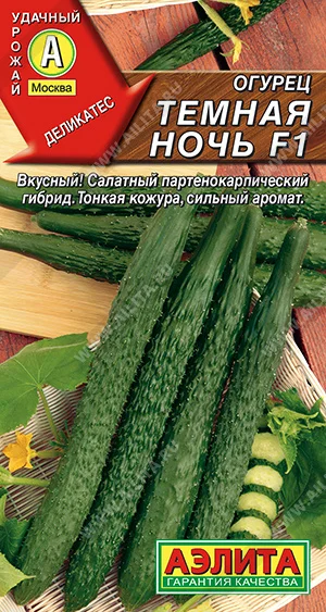 Темная ночь