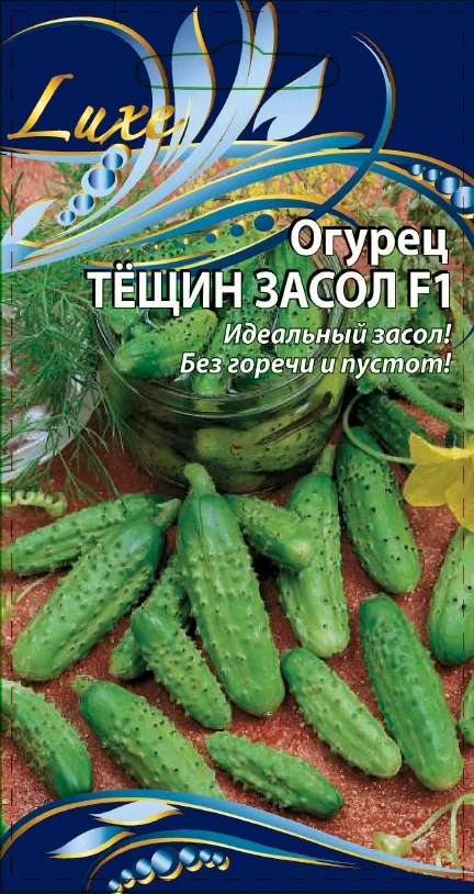 Тещин засол