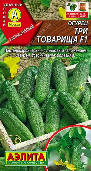 Три товарища