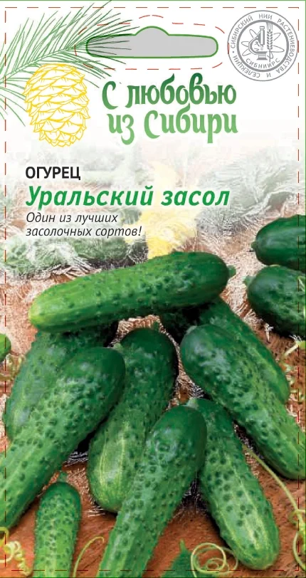 Уральский засол