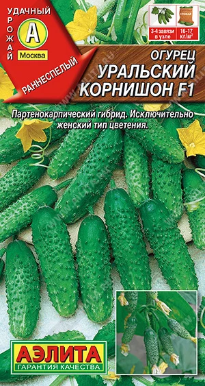 Уральский корнишон