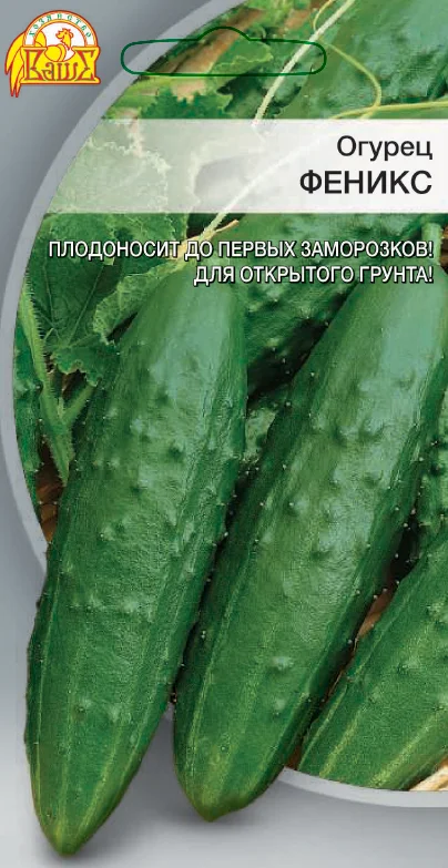 Миниатюра изображения сорта Феникс