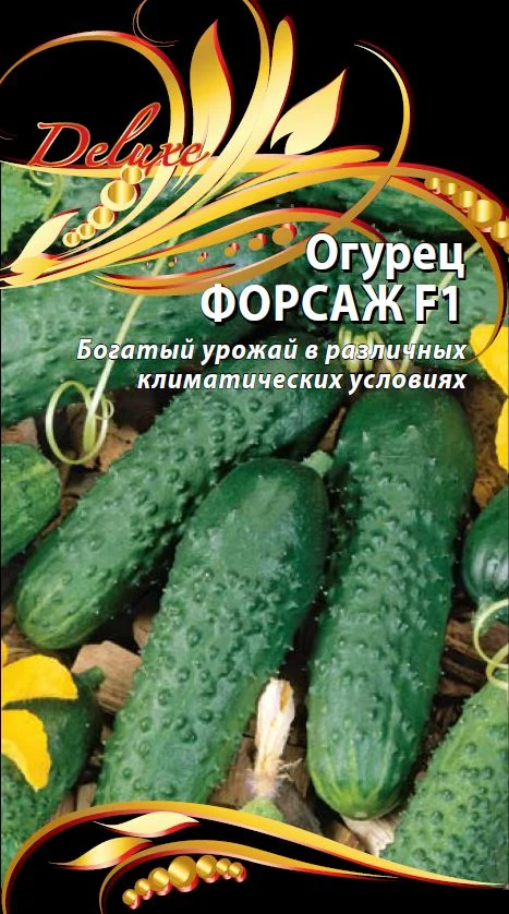 Форсаж