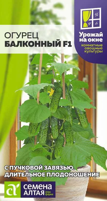 Миниатюра изображения сорта Балконный