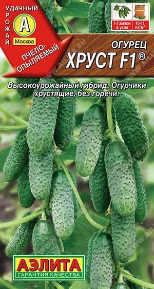 Хруст