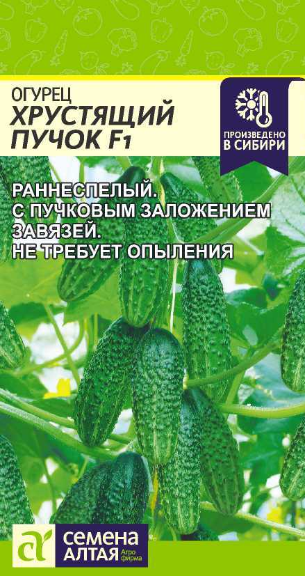 Хрустящий пучок