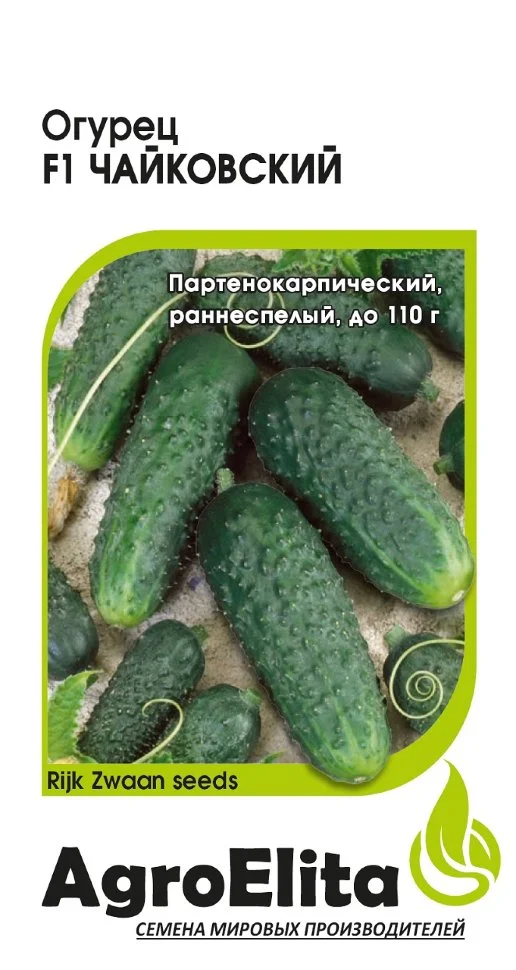 Чайковский