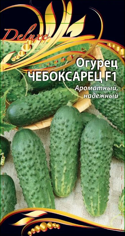 Чебоксарец