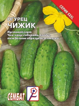 Миниатюра изображения сорта Чижик