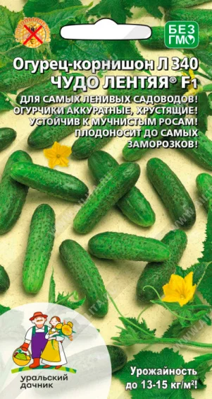 Чудо лентяя