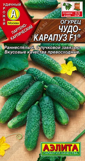 Чудо-карапуз