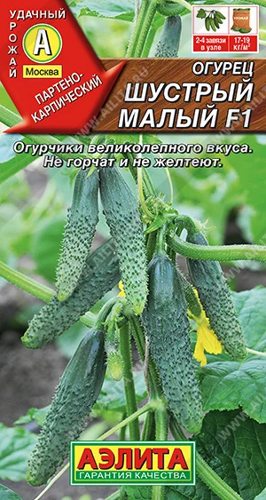 Шустрый малый