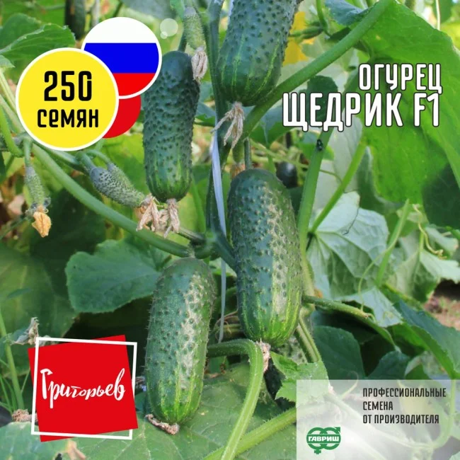 Миниатюра изображения сорта Щедрик