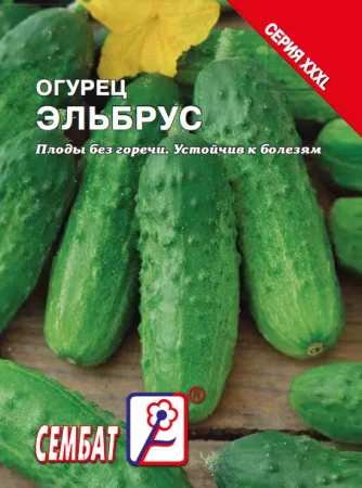 Миниатюра изображения сорта Эльбрус