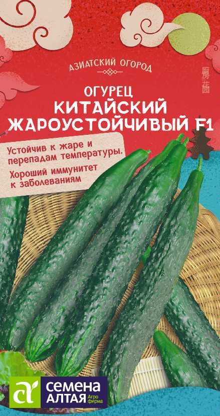 Китайский жароустойчивый