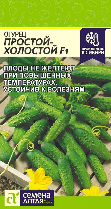 Простой холостой