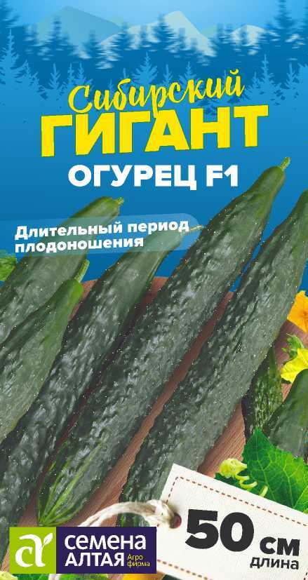 Сибирский гигант