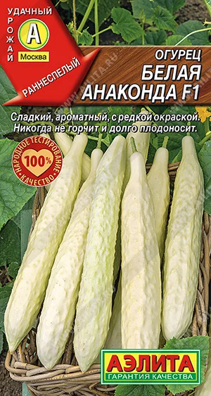 Белая анаконда