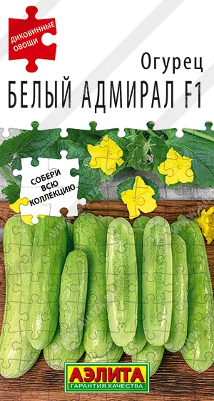 Белый адмирал