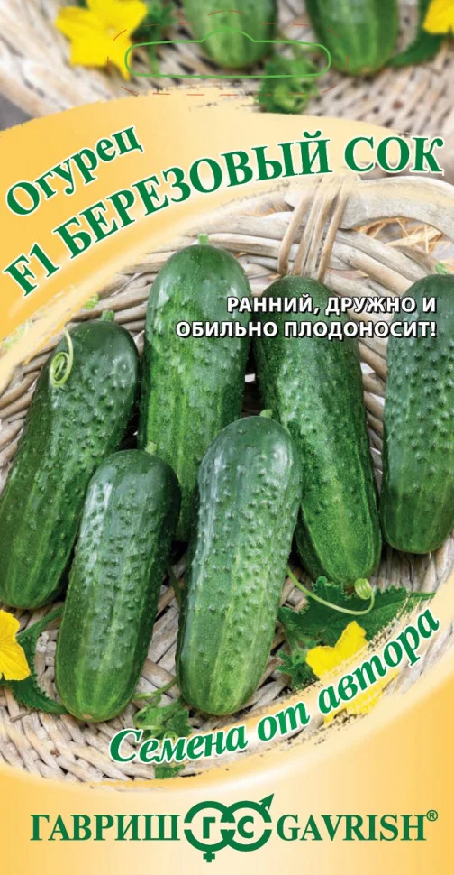 Берёзовый сок