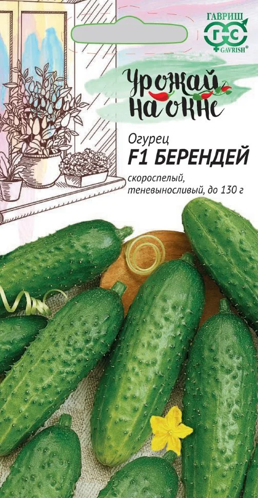 Берендей