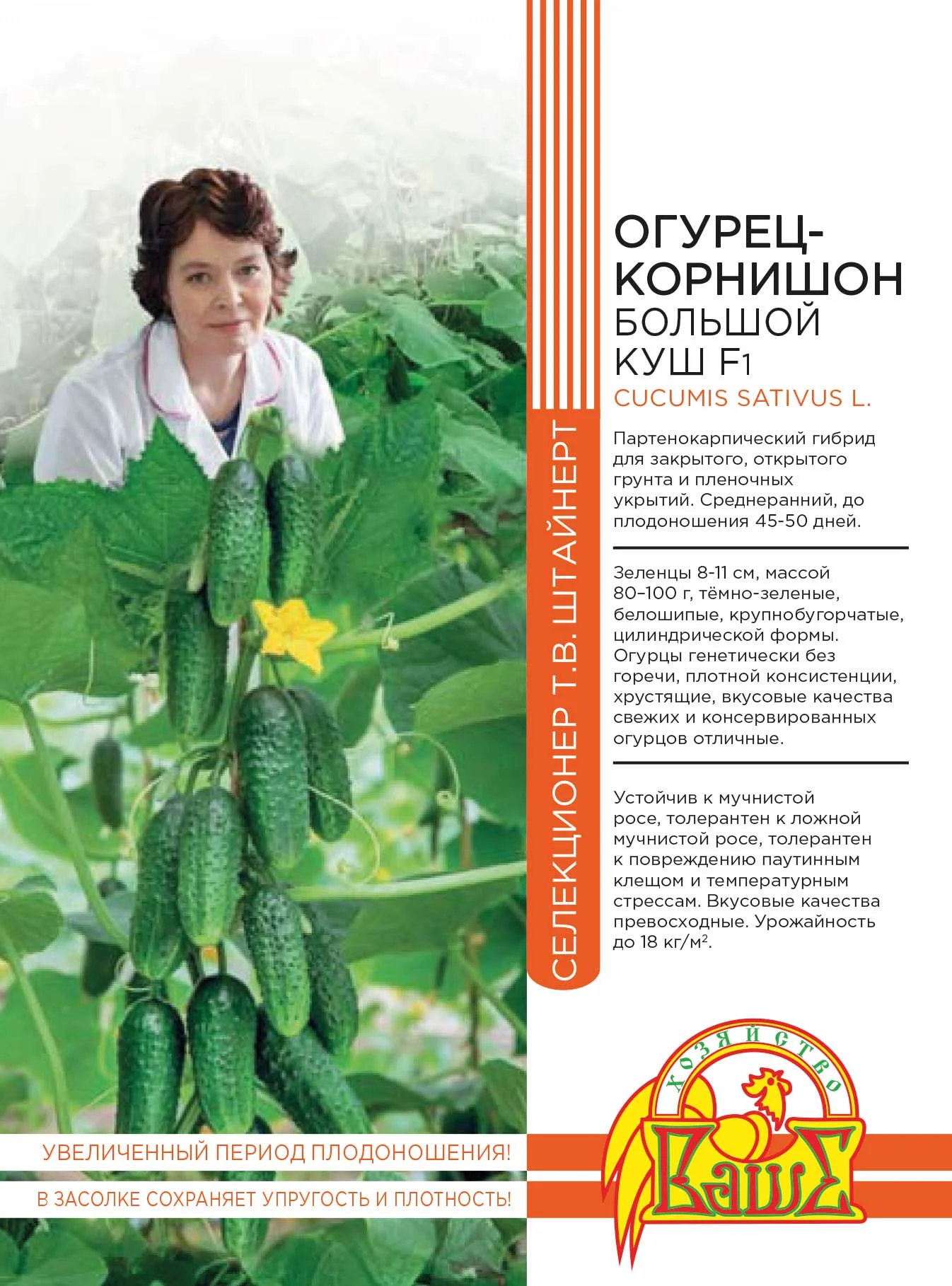 Большой Куш