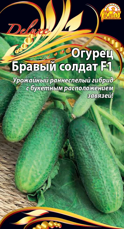 Бравый солдат