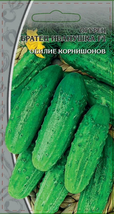 Братец Иванушка