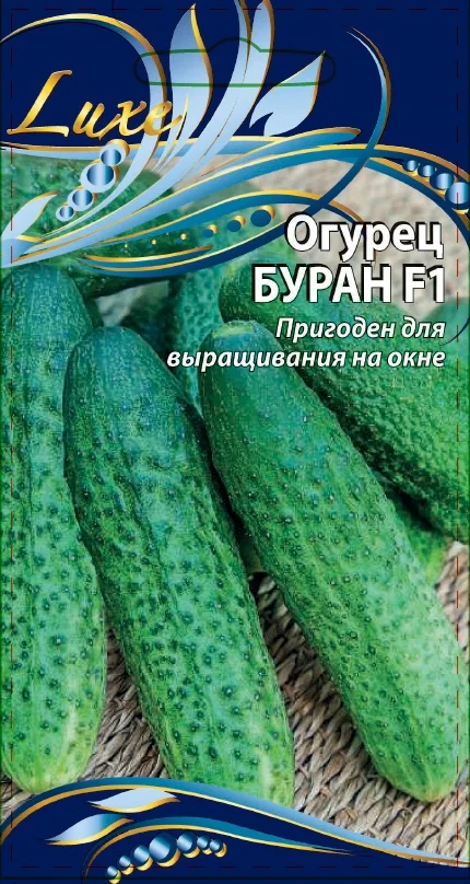 Буран