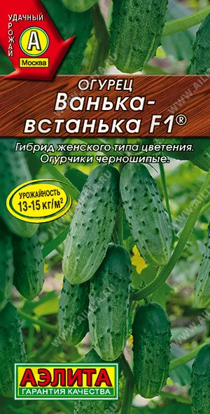 Ванька-Встанька